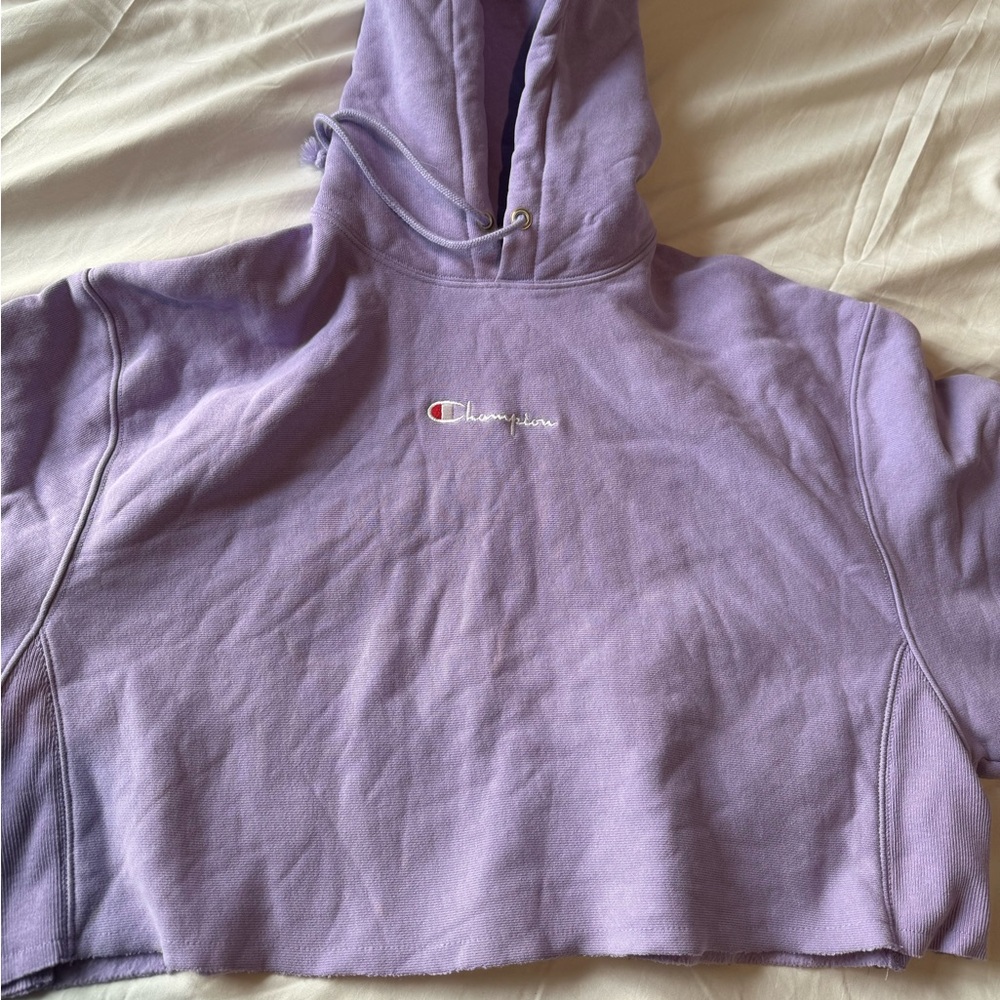 Champion Purple Hoodie